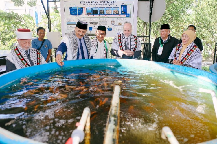 Teknologi IoT di Greenhouse Melon dan Lompatan Pertanian Presisi