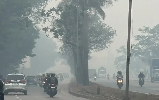 Titik Panas Sumatera Melonjak: Kabut Asap dan Anggaran yang Dipertanyakan