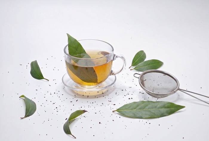 Panduan Lengkap Bahan Alami untuk Kesehatan Rambut
