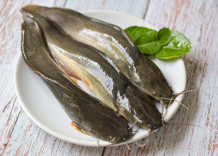 Panduan Lengkap Memilih Ikan Segar di Pasar