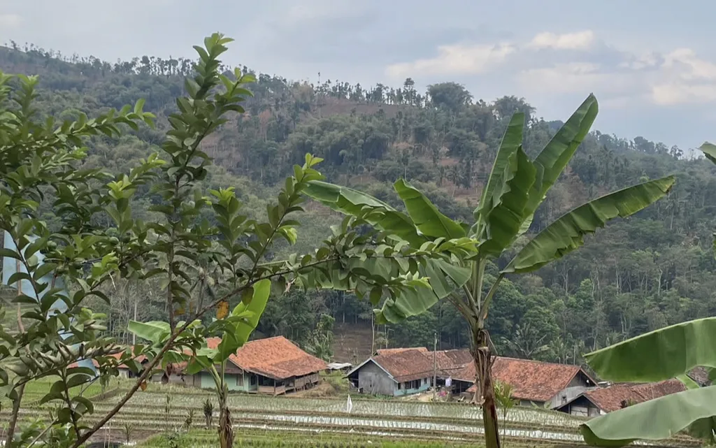 Pengelolaan Sampah Bandung di Persimpangan: Antara PSEL dan Perilaku Warga
