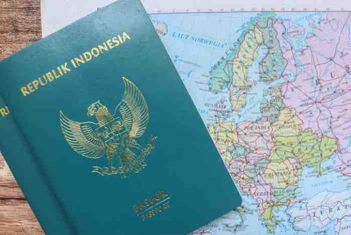 Paspor Terkuat Dunia dan Jurang Mobilitas Global