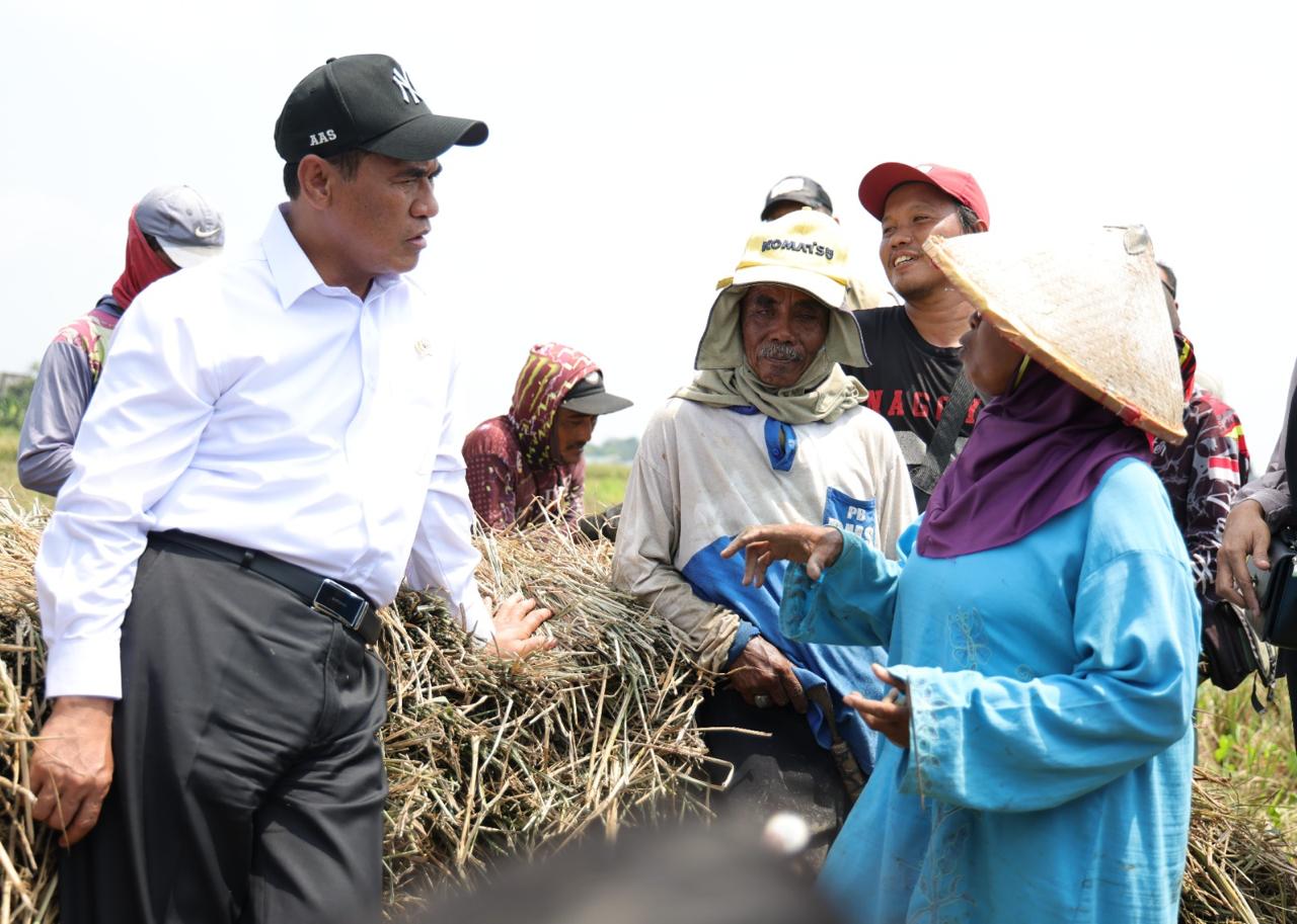 Nilai Tukar Petani Naik: Momentum Pemulihan dari Nasional ke Daerah