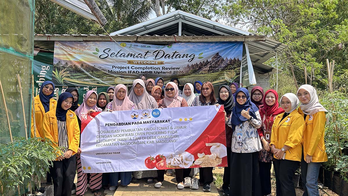 Kaldu Jamur Gurih Penuh Umami Tanpa MSG untuk Dapur Modern