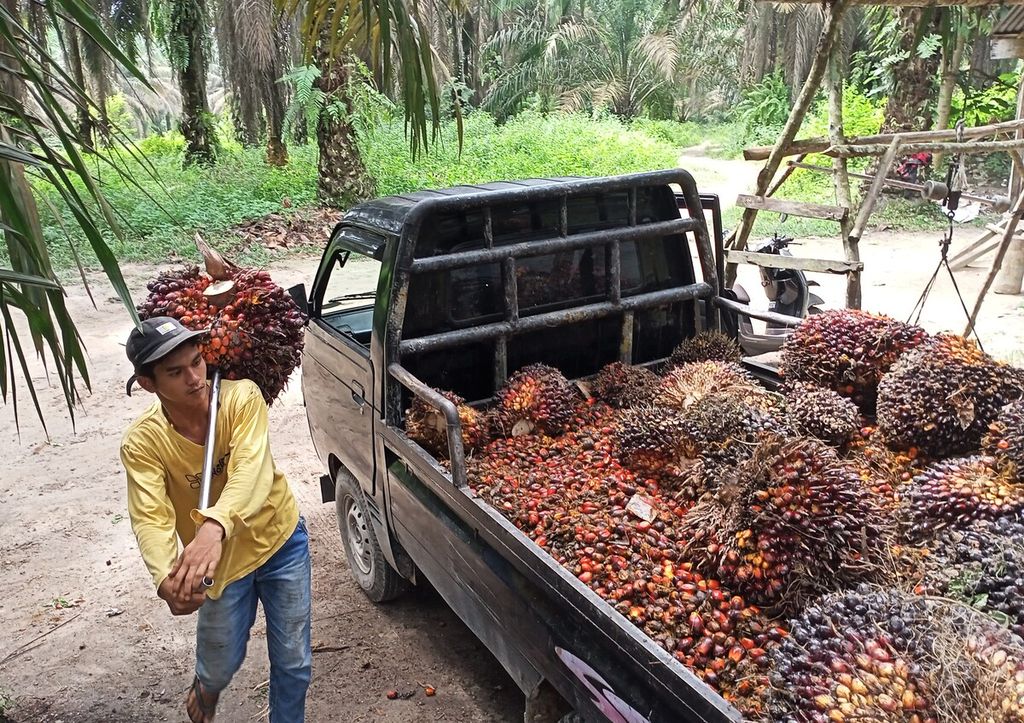Inflasi Makanan dan Daya Beli Petani: Potret Tiga Provinsi Sumatera