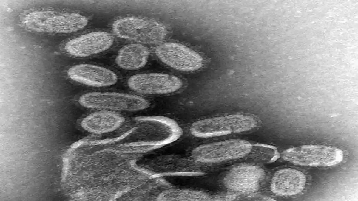Langkah Praktis Cegah Influenza di Rumah dan Tempat Kerja