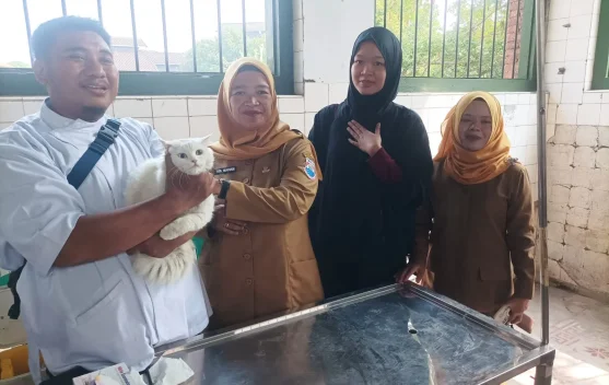 Vaksinasi Rabies dan Kastrasi Gratis: Strategi Melindungi Hewan Peliharaan