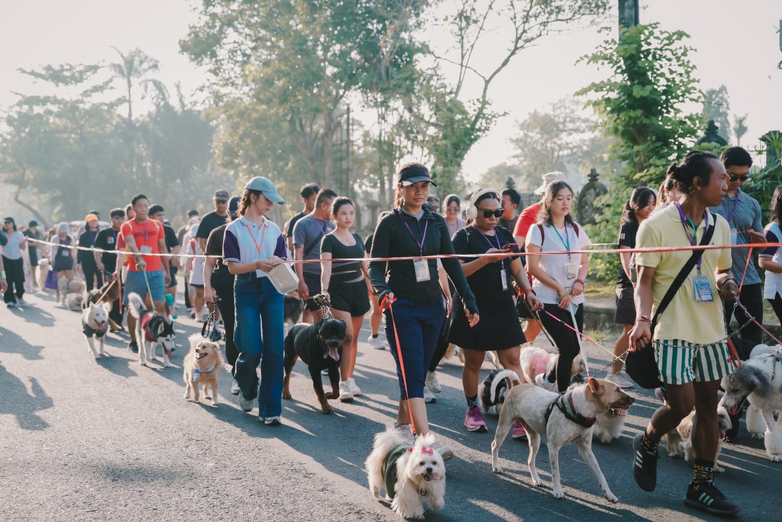World Rabies Day: Vaksinasi Massal dan Lompatan Menuju Bebas Rabies