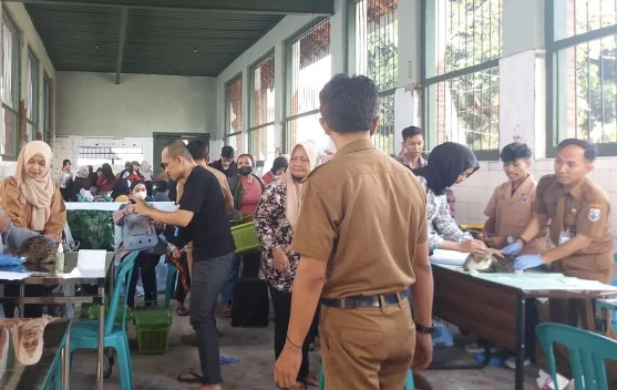 Ratusan Hewan Divaksin Rabies Gratis: Bukti Nyata Program Kesehatan Hewan Berjalan