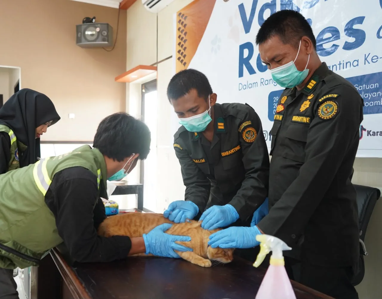 Balai Karantina Gelar Vaksinasi Rabies Massal Gratis: 122 Hewan Peliharaan Terlindungi