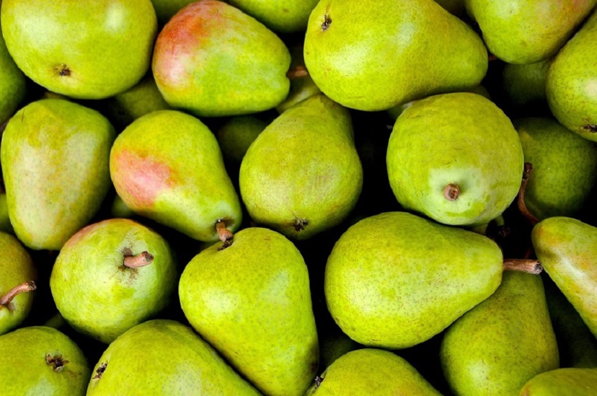 Mangga vs Apel vs Pir: Buah Mana Paling Tepat untuk Kesehatan Anda?