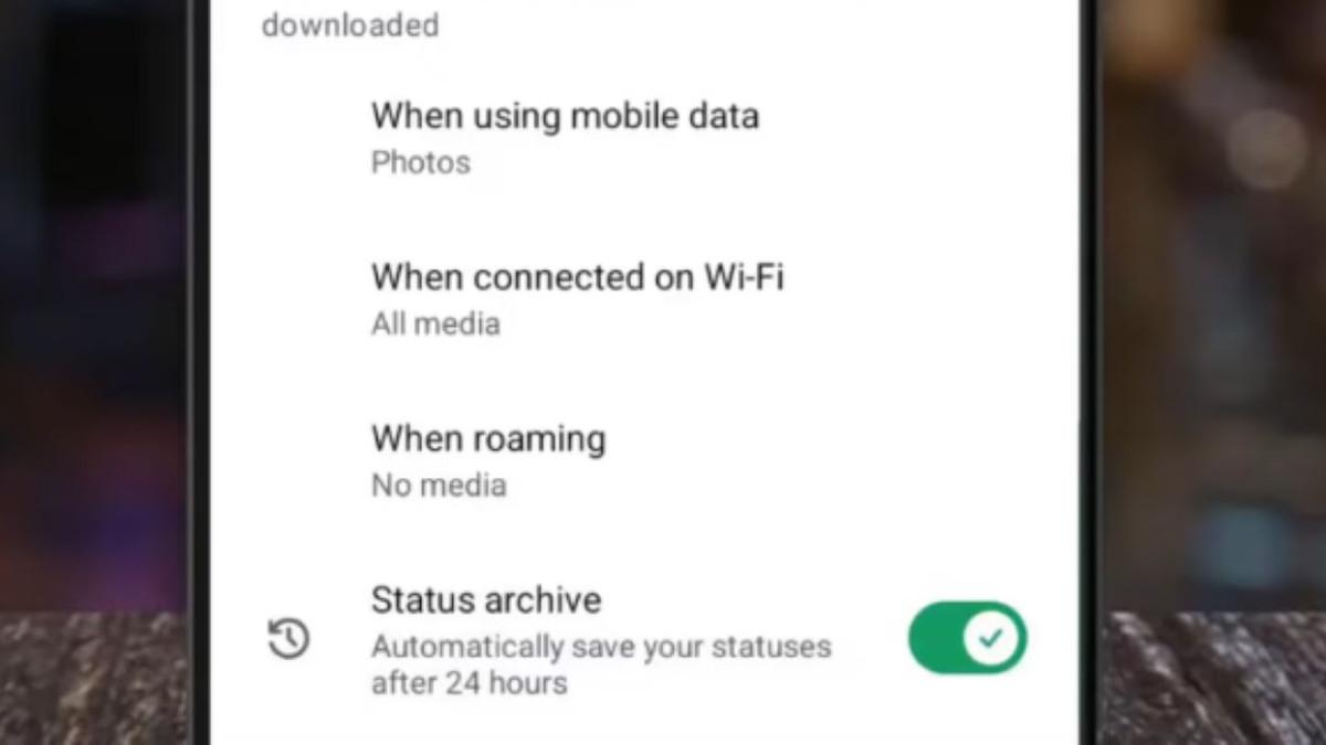 Dua Fitur WhatsApp yang Wajib Diaktifkan: Status Archive dan Terjemahan Otomatis
