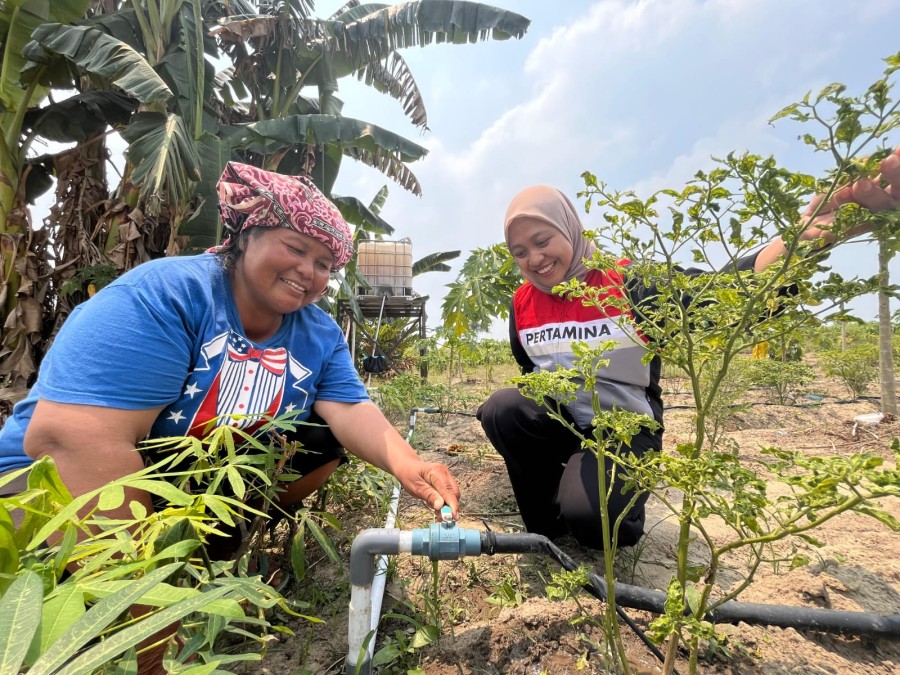 Sistem Irigasi Otomatis Berbasis Sensor Kelembaban Tanah