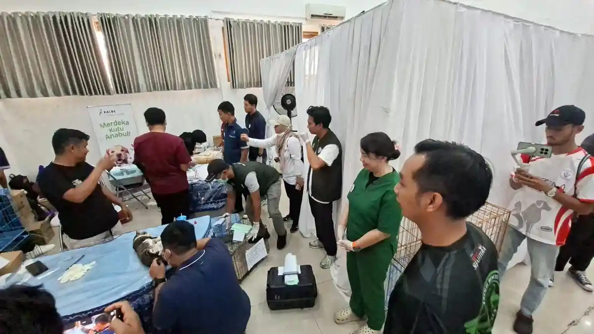 Vaksinasi Rabies dan Kastrasi Gratis: Senjata Komunitas Lawan Rabies