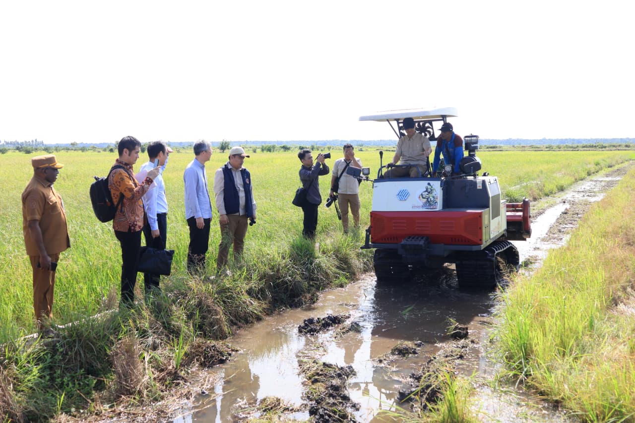 Perkebunan Tebu Merauke Menggerakkan Ekonomi Agribisnis Lokal