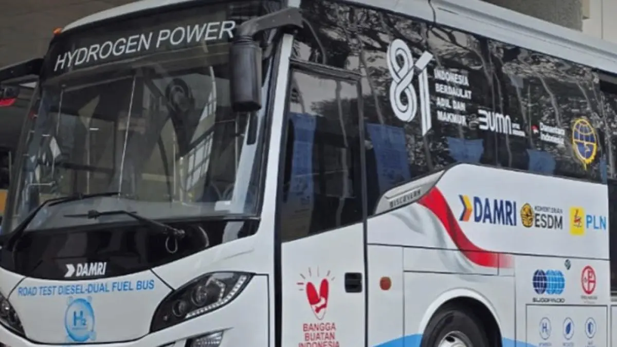 Rute Bus Bandara DAMRI Tanjung Lesung: Tarif dan Jadwal Lengkap