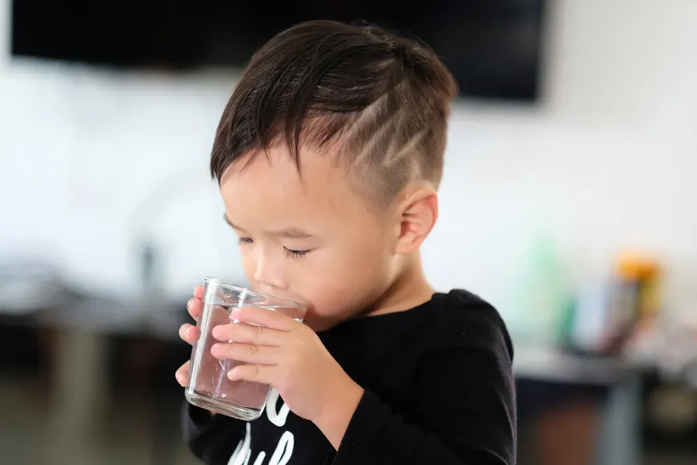 Panduan Lengkap Memilih Susu Formula Berkualitas untuk Anak