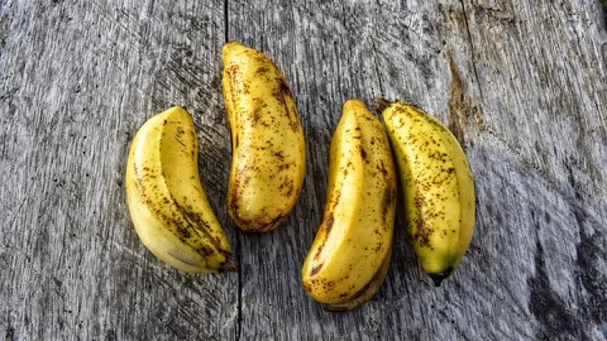 Panduan Lengkap Memilih dan Menyimpan Buah Matang