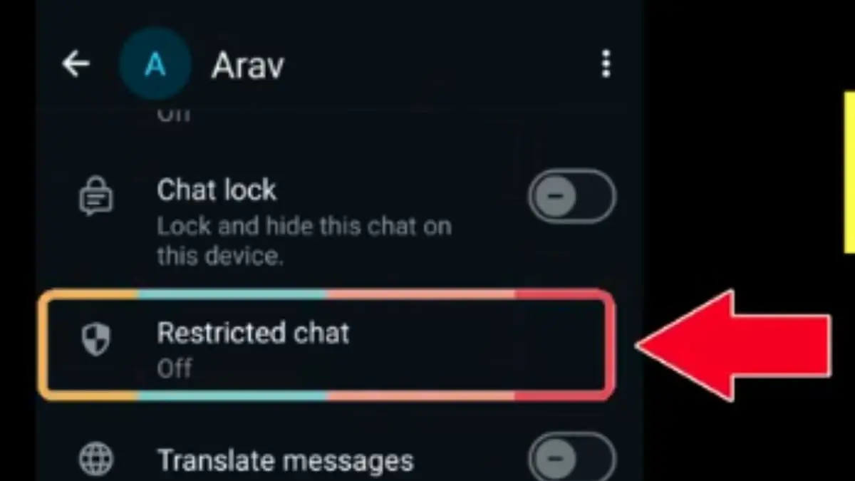 Restricted Chat WhatsApp: Tameng Baru untuk Obrolan Pribadi