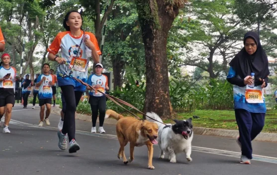 Ribuan Peserta dan Anabul Ramaikan World Rabies Day Run di Jakarta