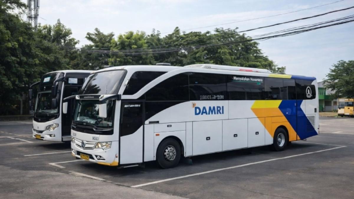 Rute Bus Bandara DAMRI Tanjung Lesung: Tarif dan Jadwal Lengkap