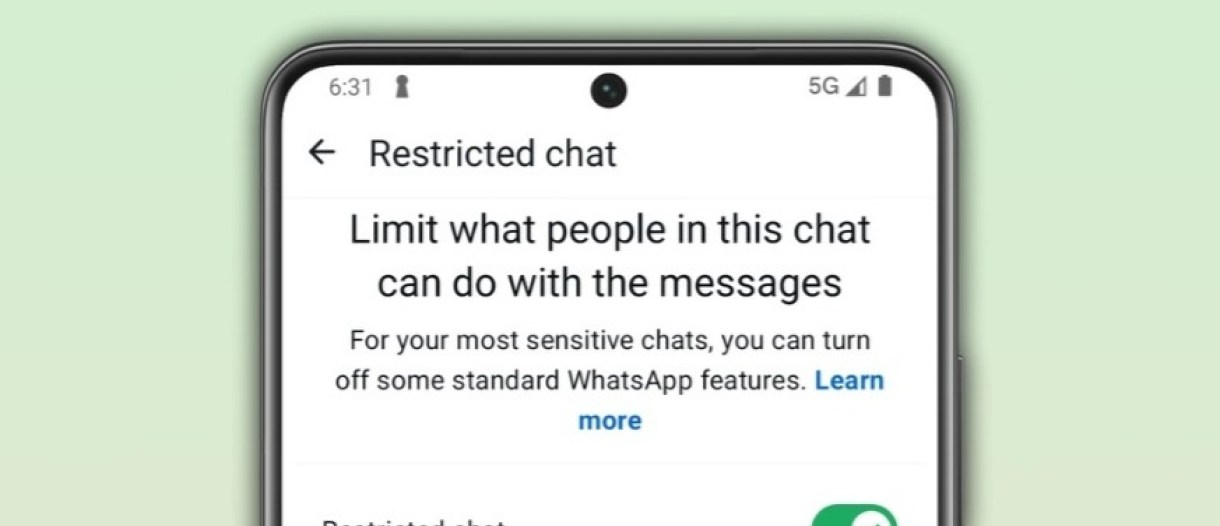Restricted Chat WhatsApp: Tameng Baru untuk Obrolan Paling Sensitif