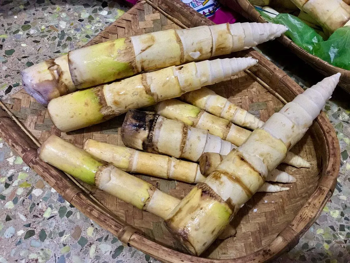 Panduan Aman Mengolah Tanaman Liar Menjadi Santapan Sehari-hari