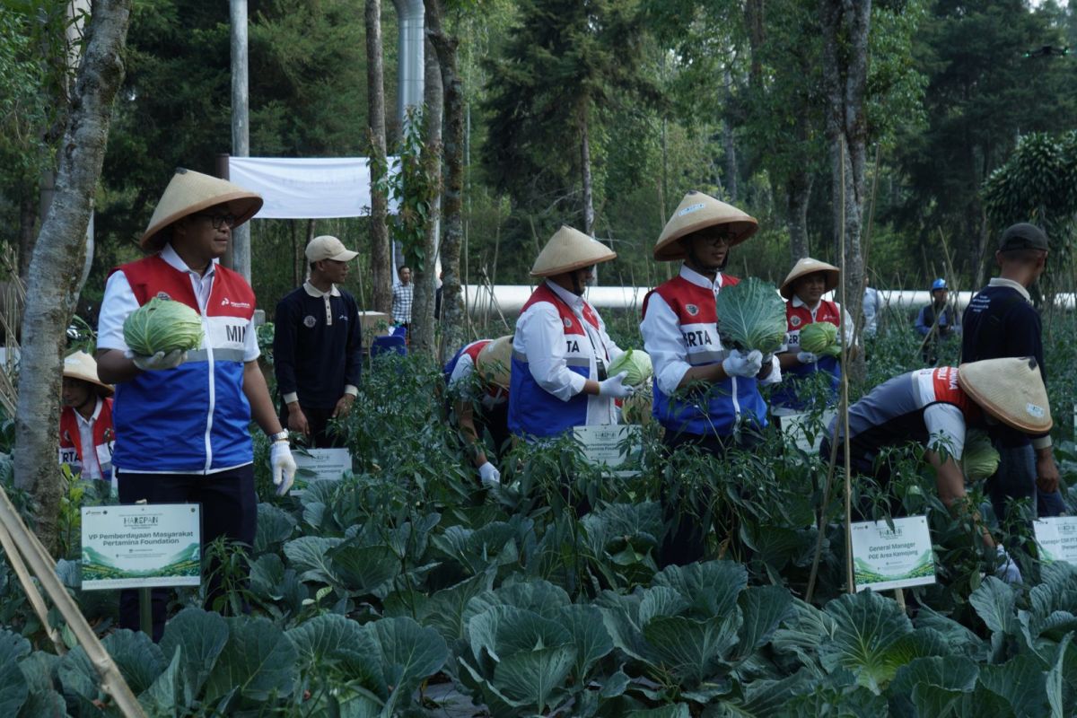 Produksi Panas Bumi Pertamina Melonjak: Dari Listrik Bersih ke Inovasi Pupuk