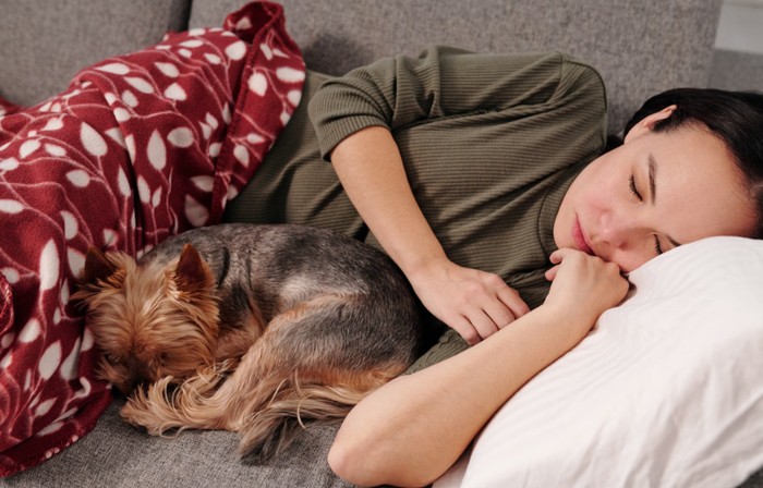 Power Nap Tanpa Merusak Tidur Malam: Waktu dan Durasi Ideal