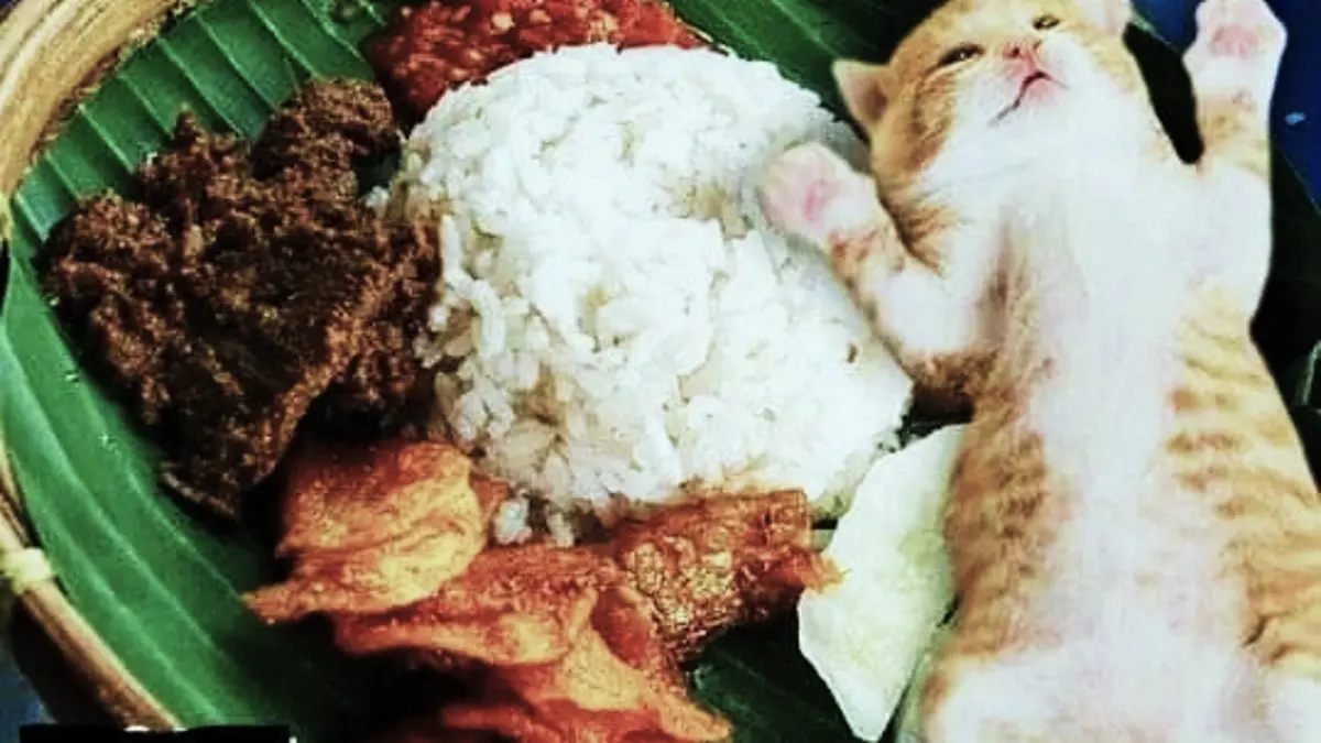 Nasi Kucing Angkringan: Isian Praktis dan Bungkus Tanpa Steples