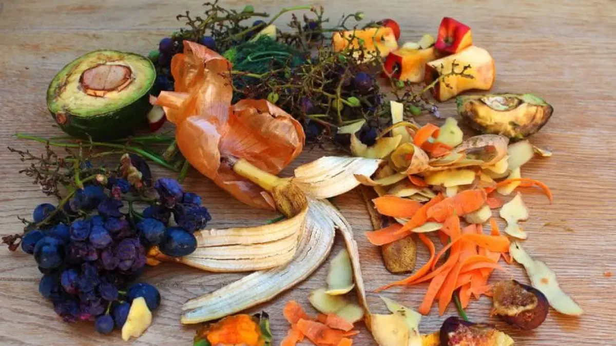 Tujuh Cara Kreatif Mengubah Sisa Makanan Jadi Hidangan Lezat
