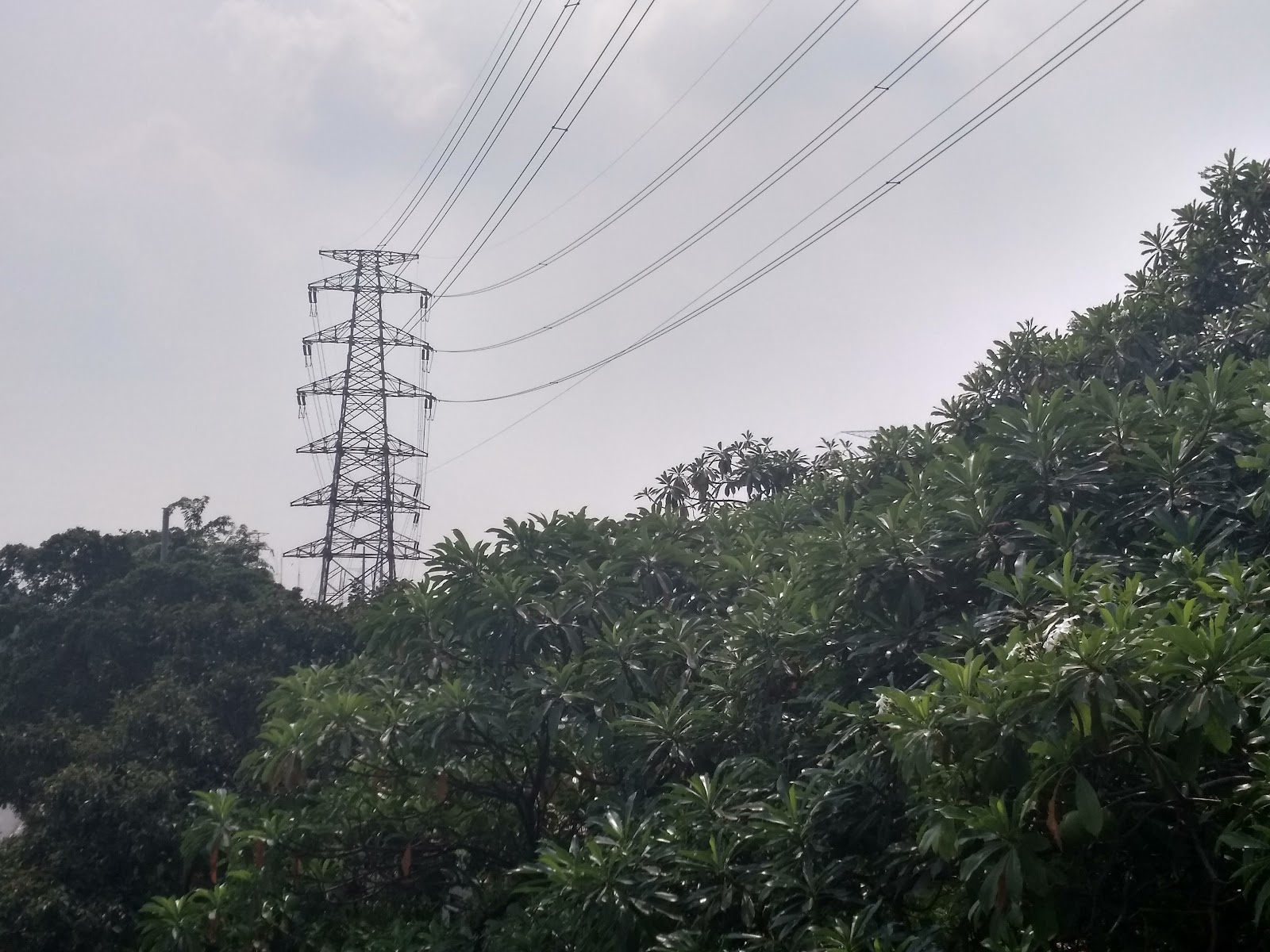 Jaringan Transmisi PLN: Benteng Terakhir Hadapi Lonjakan Energi Terbarukan