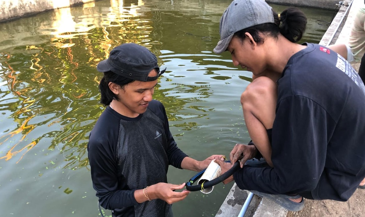 Smart Aerator dan Monitoring pH Mengubah Wajah Budidaya Ikan Modern