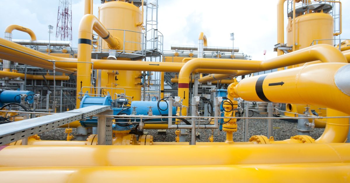 Bagaimana PGN Mengubah Limbah Sawit Menjadi Gas Bersih untuk Industri