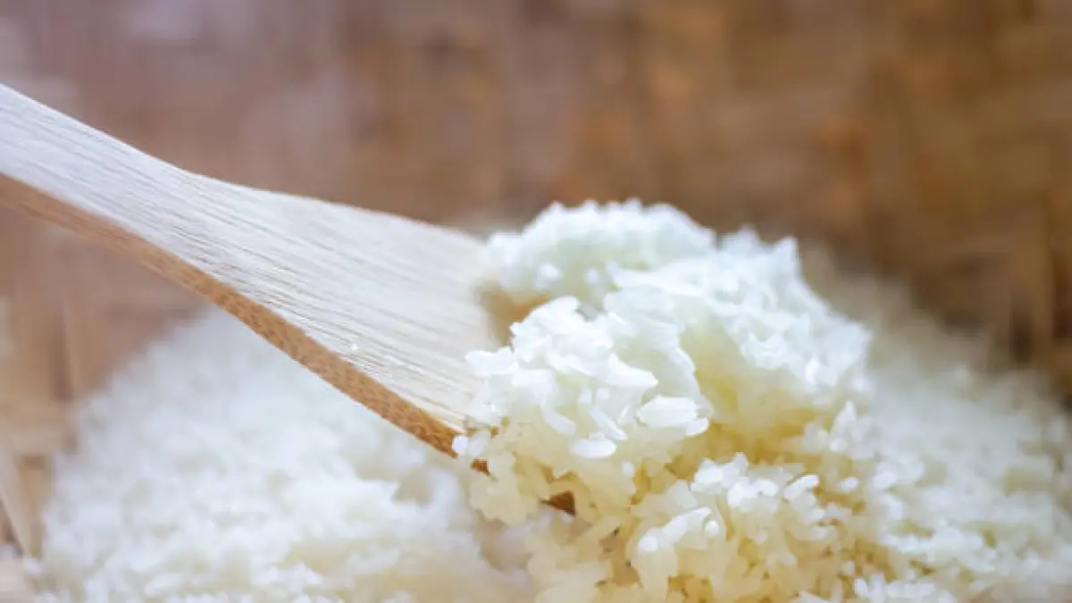 Panduan Memanaskan Sisa Telur dan Nasi dengan Aman di Rumah