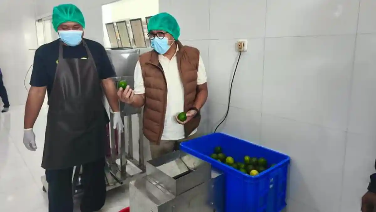 Dari Panen Lokal ke Pasar Internasional: Strategi UMKM Makanan Tembus Ekspor Lewat Pemasaran Online