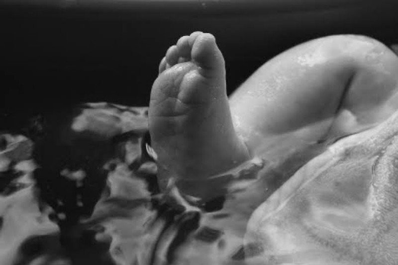 Telur Mentah untuk Bayi: Risiko Salmonella yang Bisa Berakibat Fatal