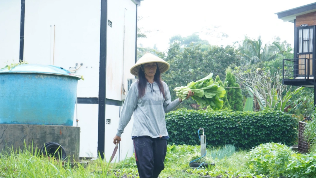 Program Makan Bergizi Gratis: Wajib Libatkan UMKM dan Petani Lokal
