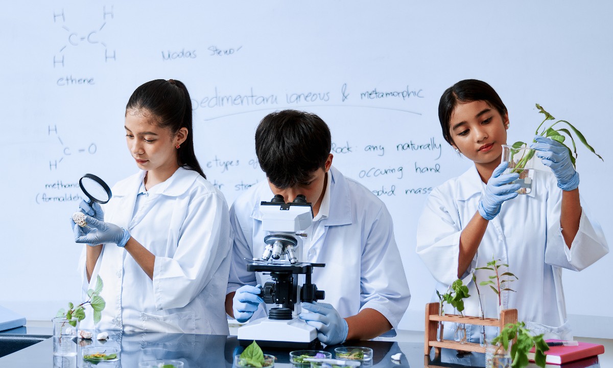 Panduan Lengkap Soal TKA: Strategi Kuasai Biologi, Kimia, dan Bahasa Inggris
