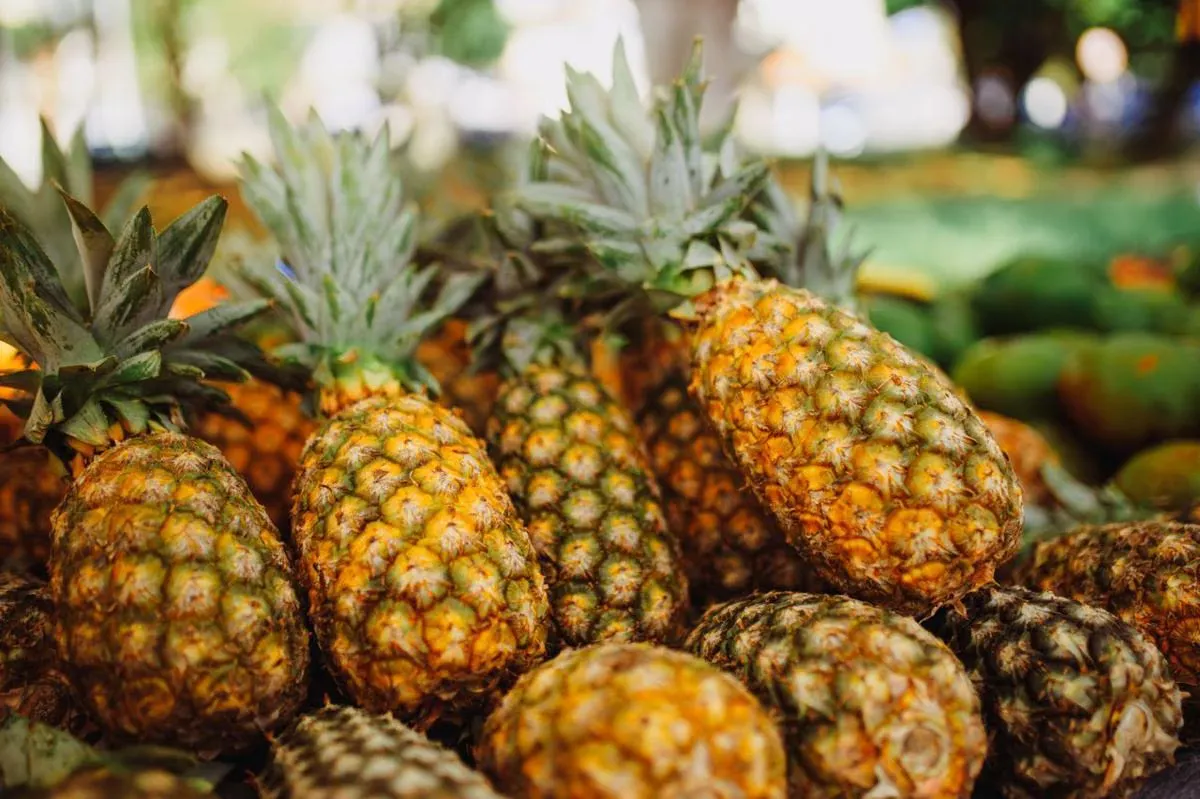 Mitos Makanan saat Hamil: Mana Fakta, Mana Hoaks?