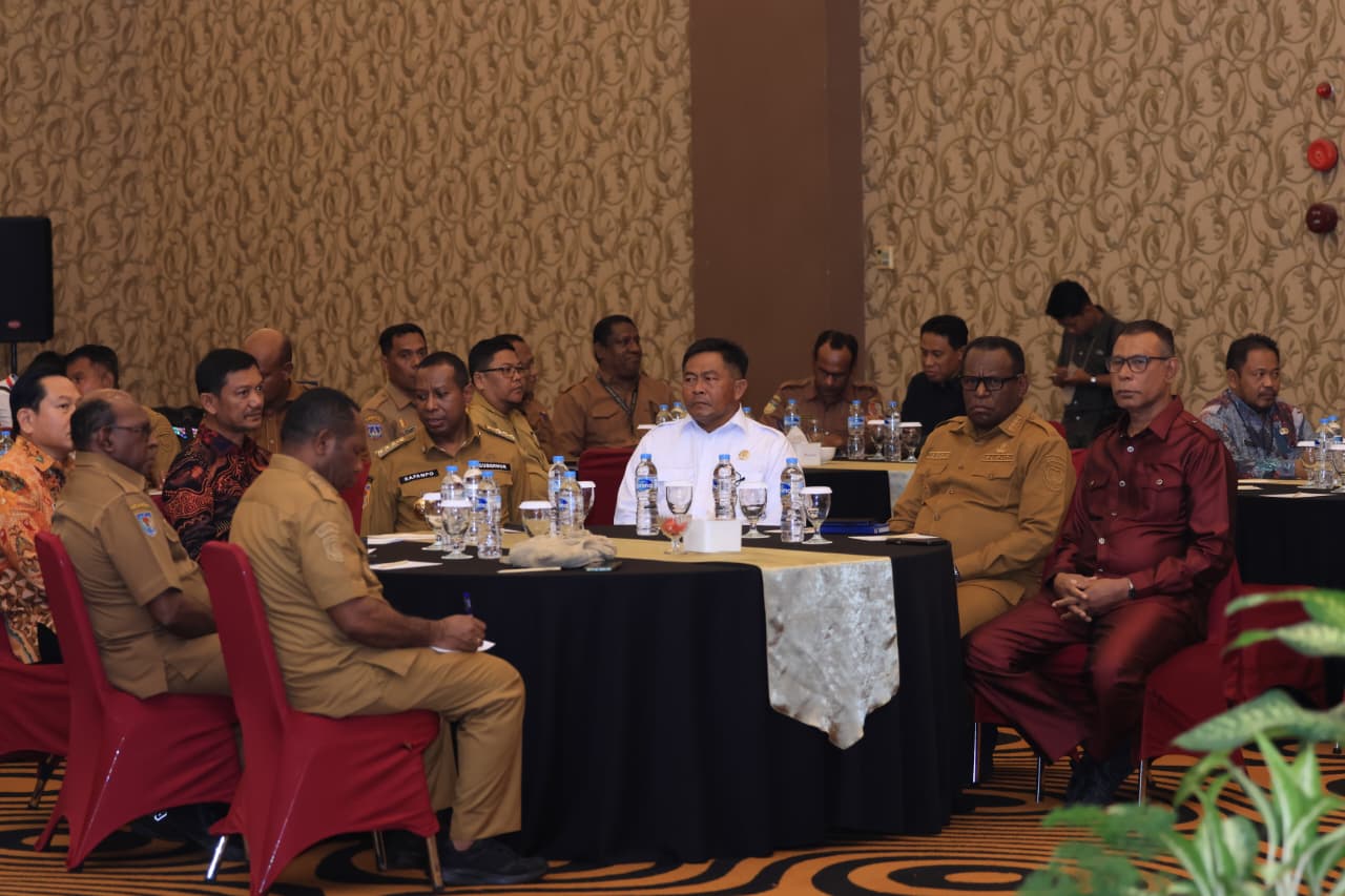 Evaluasi Tiga Tahun DOB Papua Selatan: Capaian dan PR Besar