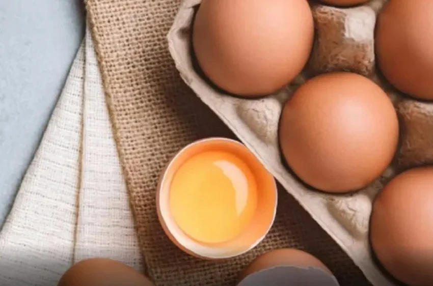 Telur Mentah untuk Bayi: Risiko Salmonella yang Terlupakan