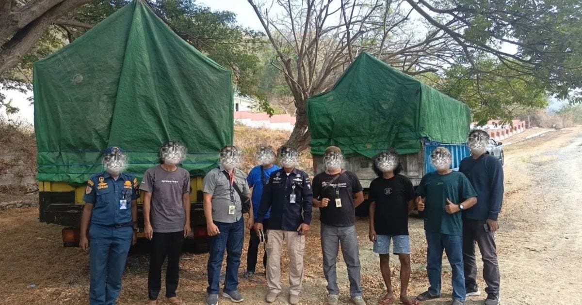 Bea Cukai Bongkar Jaringan Rokok Ilegal, Berapa Rugi Negara?