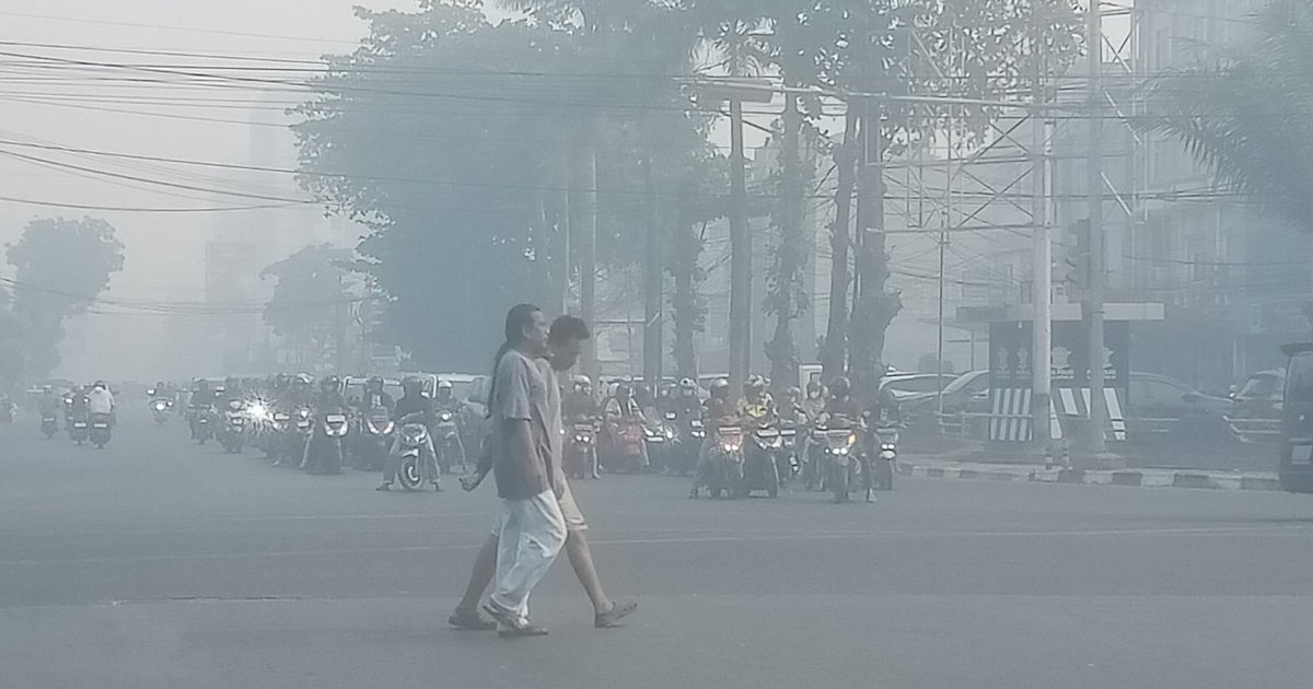 Asap Kebakaran Hutan Picu ISPA pada Anak: Alarm Bahaya di Rumah