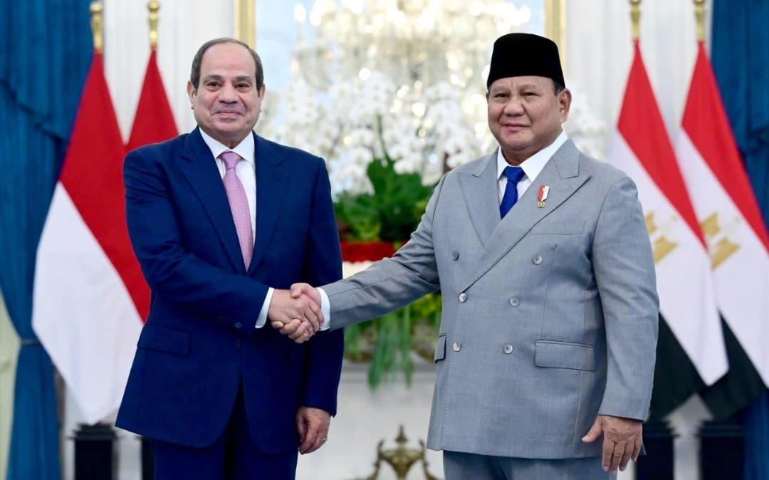 Peluang Beasiswa Kedokteran dan Teknik dari Mesir