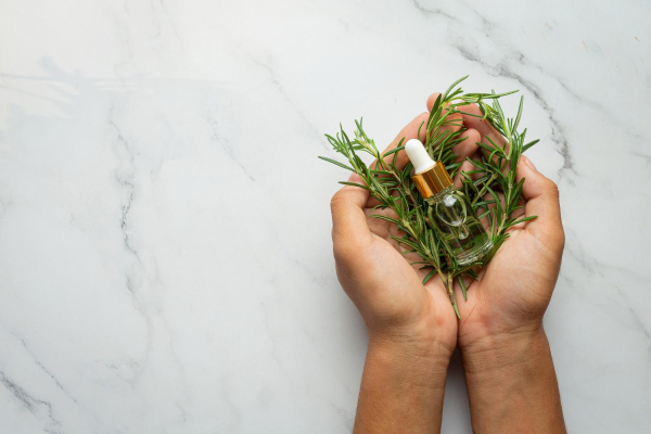 Dua tangan memegang botol oil ber-dropper di atas ikatan rosemary segar