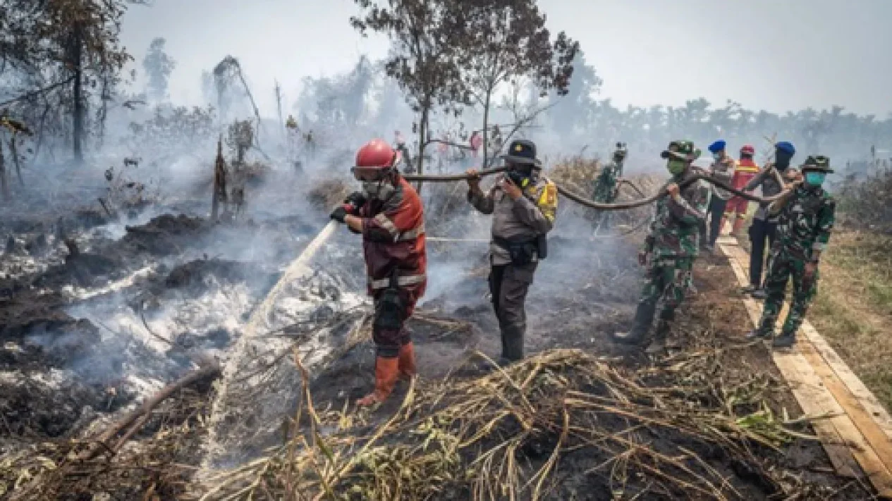 Asap Kebakaran Hutan Picu ISPA pada Anak: Alarm Bahaya di Rumah