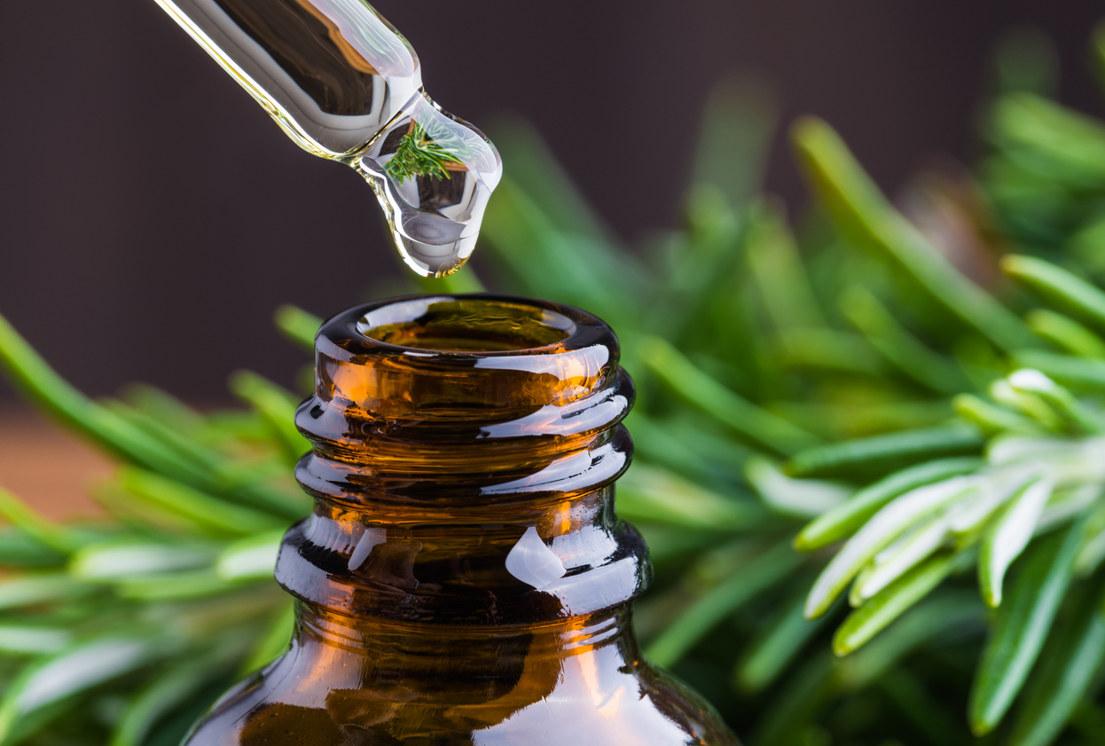 Minyak Kemiri atau Rosemary Oil untuk Rambut Rontok? Aku Bedah Isi, Cara Pakai, dan Harganya
