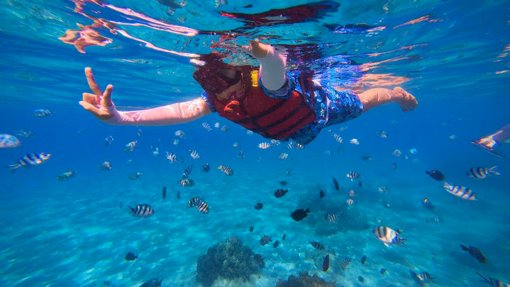 Snorkeling dan Berenang Seru di Bawah Rp50 Ribu