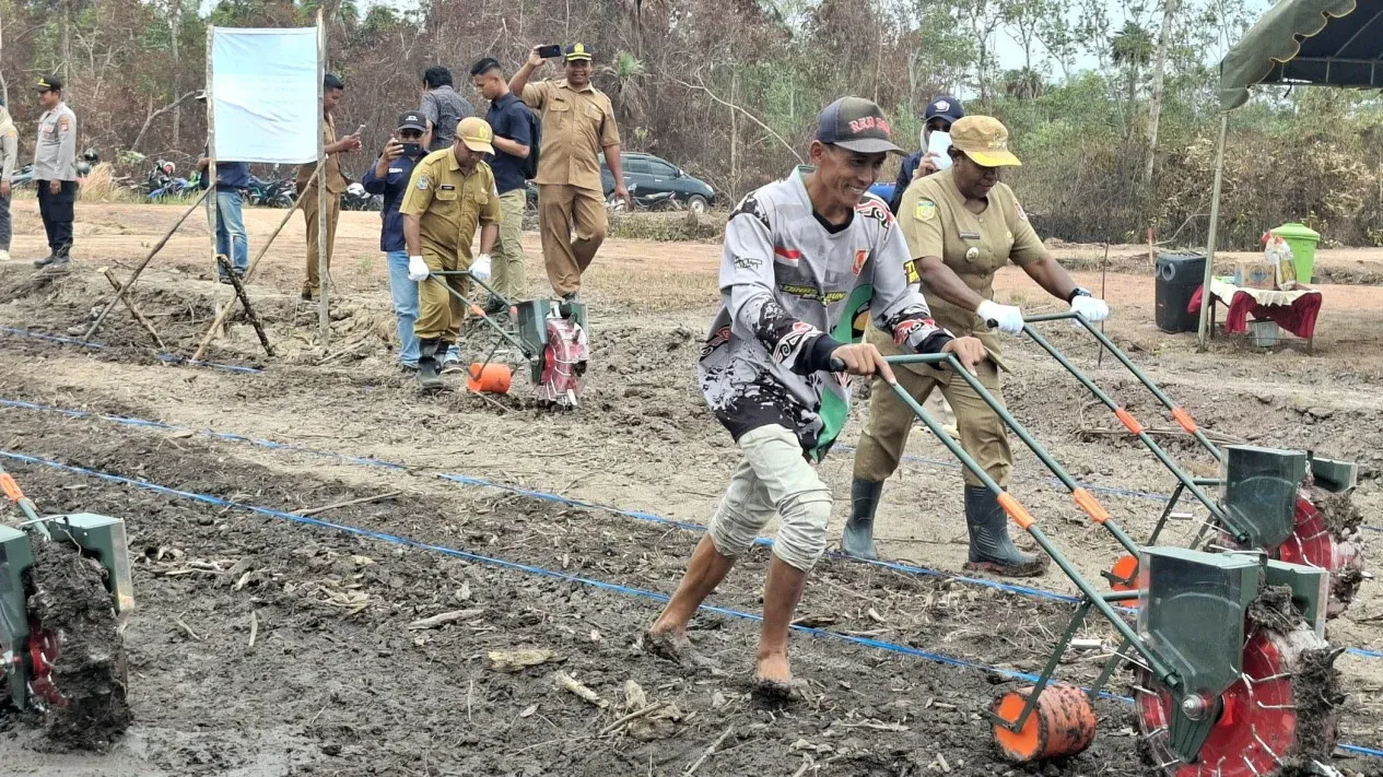 Swasembada 8 Komoditas dan Lompatan Stok Beras Nasional